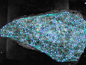 Triangular mesh formed from common points observed on rock